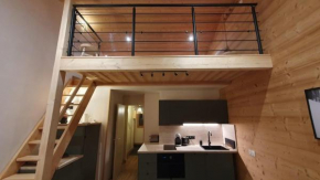 Spacieux appartement ski aux pieds